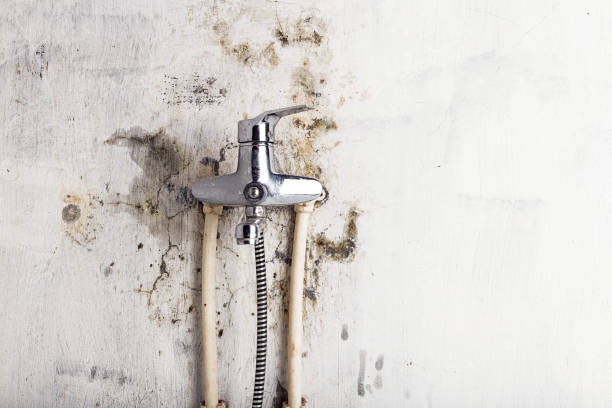 Best Mold Cleaning Services  in Mount Union, PA